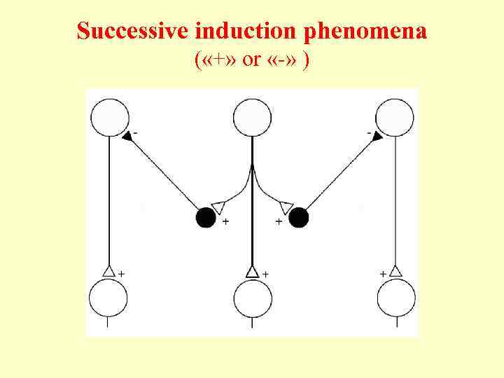 Successive induction phenomena ( «+» or «-» ) 