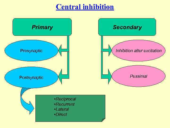 Central inhibition Primary Secondary Presynaptic Inhibition after excitation Postsynaptic Pessimal • Reciprocal • Recurrent