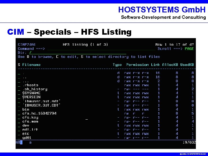 HOSTSYSTEMS Gmb. H Software-Development and Consulting CIM – Specials – HFS Listing © 2002
