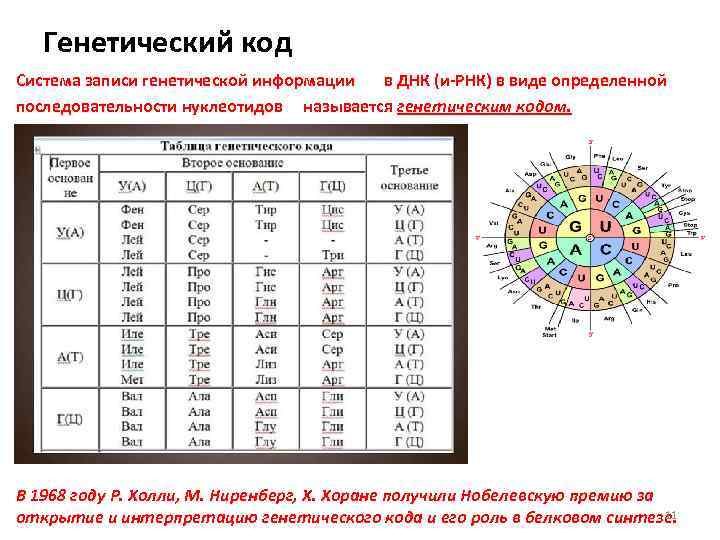 В какой последовательности происходит запись информации на компьютер ввод символьной информации