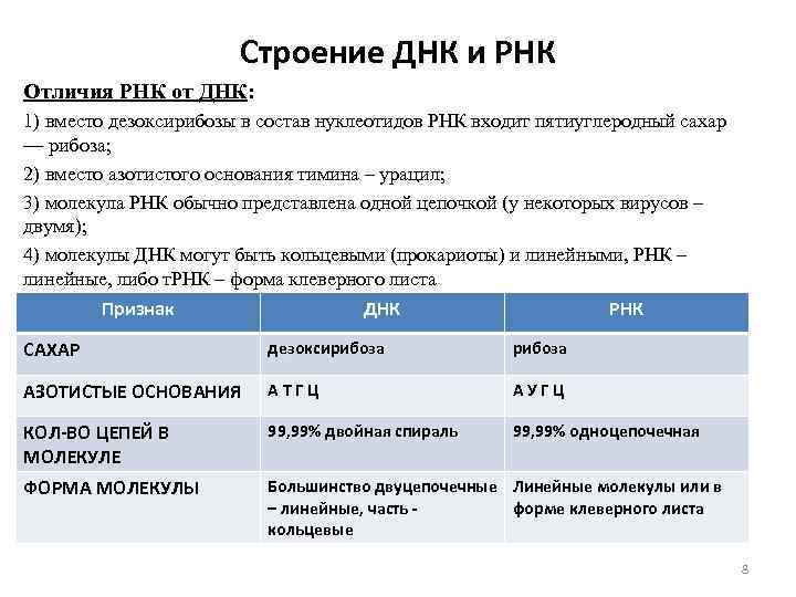 Строение ДНК и РНК Отличия РНК от ДНК: 1) вместо дезоксирибозы в состав нуклеотидов