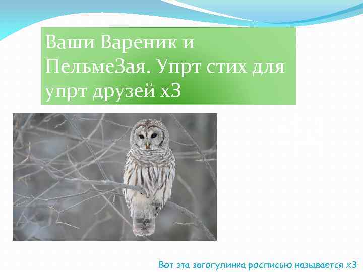 Ваши Вареник и Пельме. Зая. Упрт стих для упрт друзей х. З Вот эта