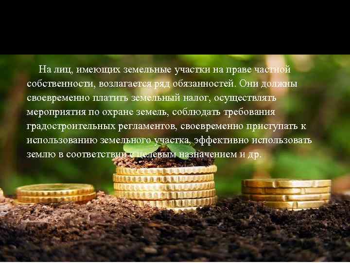 На лиц, имеющих земельные участки на праве частной собственности, возлагается ряд обязанностей. Они должны