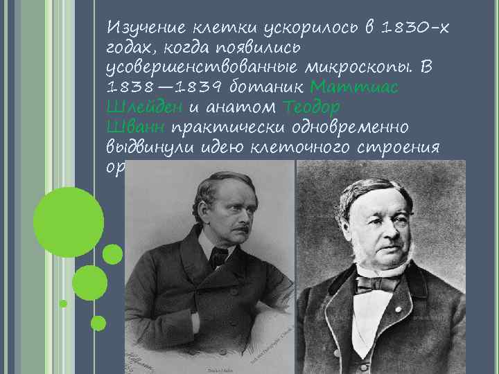 Изучение клетки ускорилось в 1830 -х годах, когда появились усовершенствованные микроскопы. В 1838— 1839