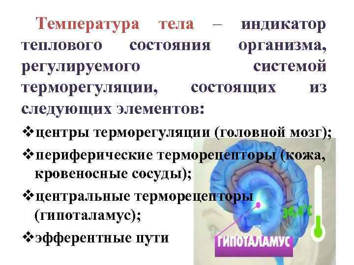 Температура тела – индикатор теплового состояния организма, регулируемого системой терморегуляции, состоящих из следующих элементов: