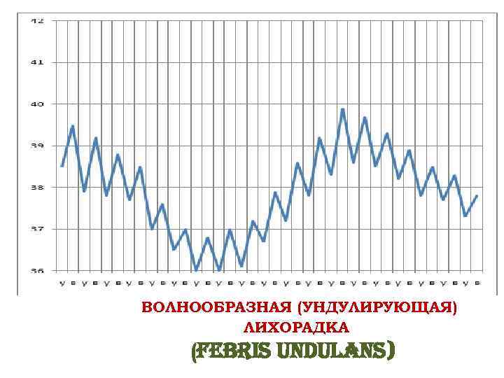 ВОЛНООБРАЗНАЯ (УНДУЛИРУЮЩАЯ) ЛИХОРАДКА (Febris un. Du. Lans) 