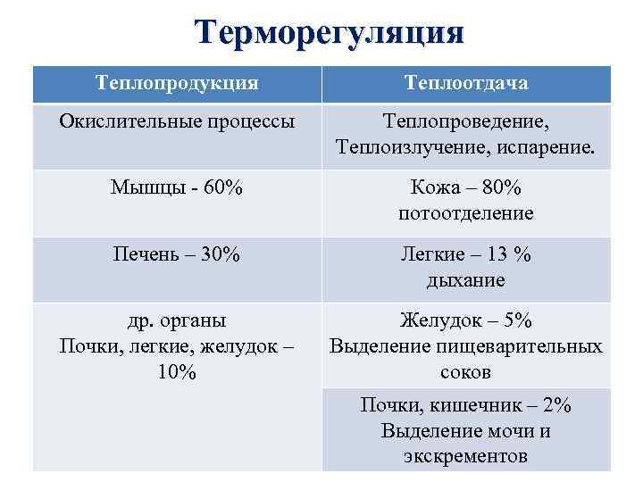 Терморегуляция Теплопродукция Теплоотдача Окислительные процессы Теплопроведение, Теплоизлучение, испарение. Мышцы - 60% Кожа – 80%