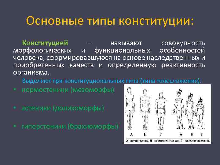 Основные типы конституции: Конституцией – называют совокупность морфологических и функциональных особенностей человека, сформировавшуюся на