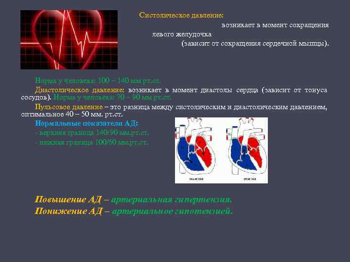 Систолическое давление: возникает в момент сокращения левого желудочка (зависит от сокращения сердечной мышцы). Норма