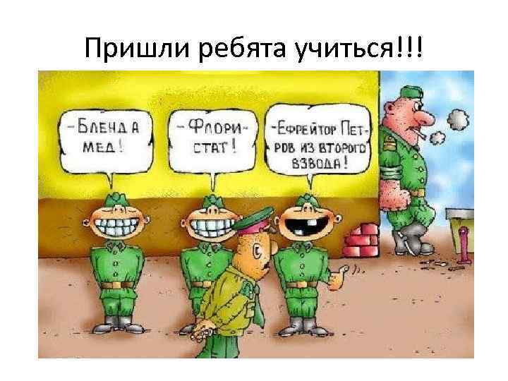 Пришли ребята учиться!!! 