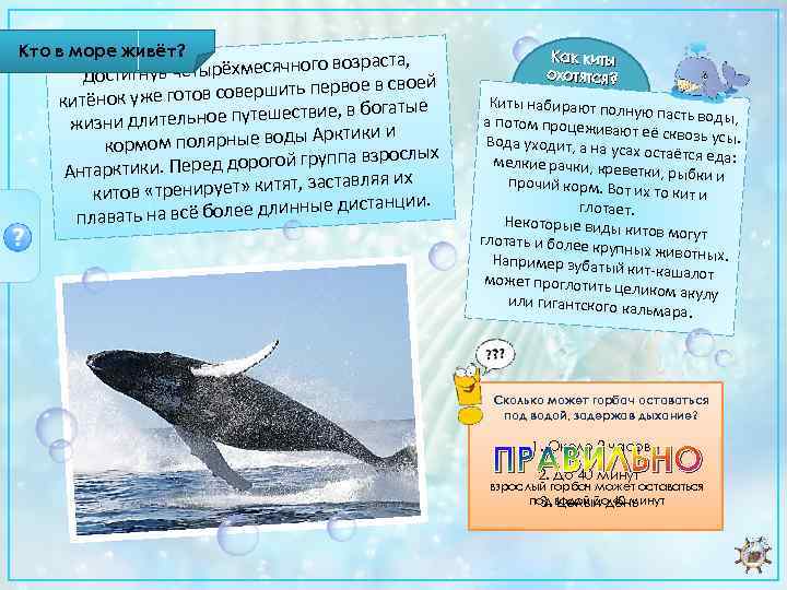 Кто в море живёт? зраста, ув четырёхмесячного во Достигн первое в своей ок уже