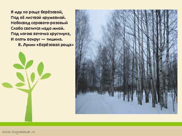 Я иду по роще берёзовой, Под её листвой кружевной. Небосвод серовато-розовый Слабо светится надо