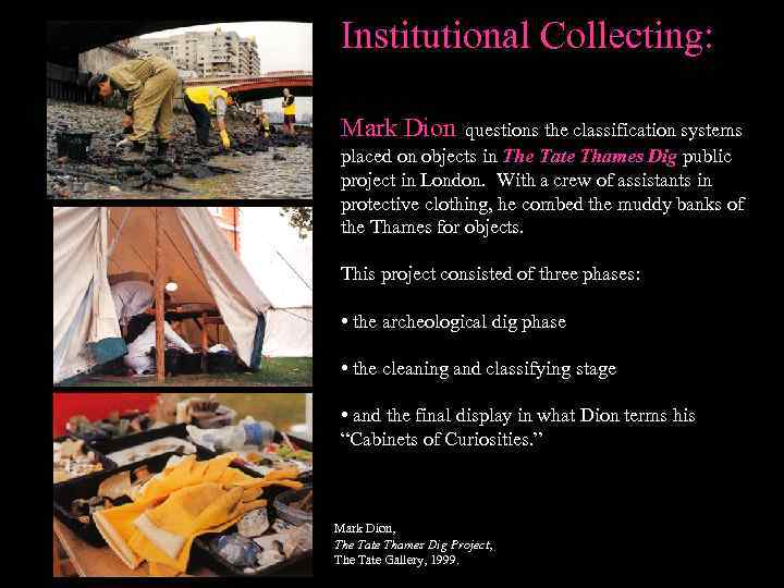 Institutional Collecting: Mark Dion questions the classification systems placed on objects in The Tate