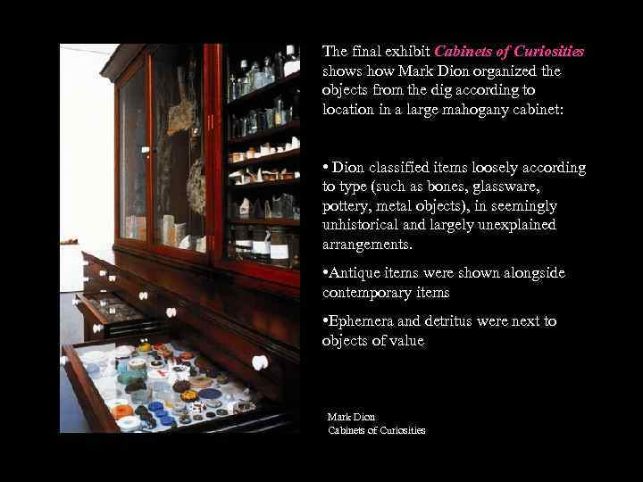 The final exhibit Cabinets of Curiosities shows how Mark Dion organized the objects from