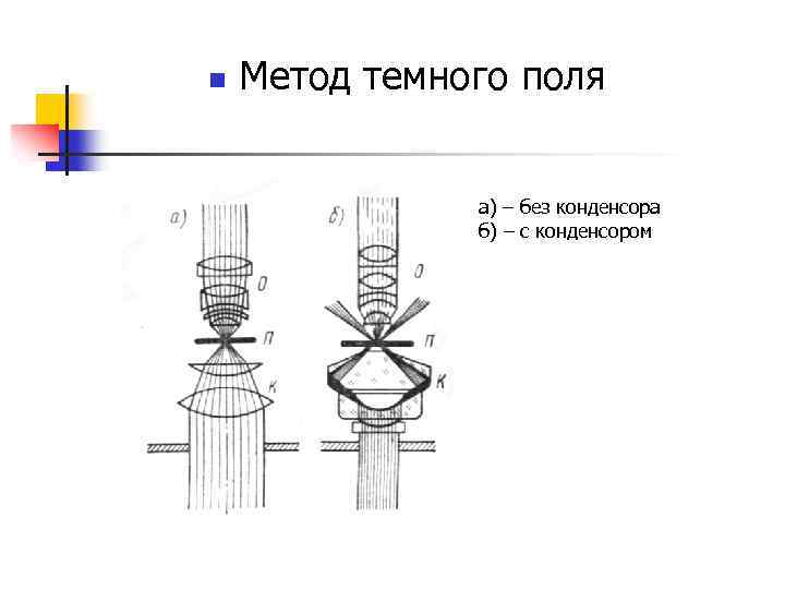 В методе темного поля микроскопии изображение объекта получается