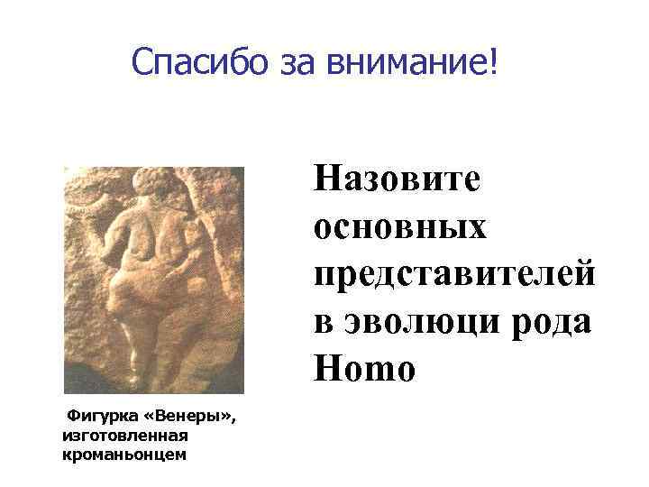 Спасибо за внимание! Назовите основных представителей в эволюци рода Homo Фигурка «Венеры» , изготовленная
