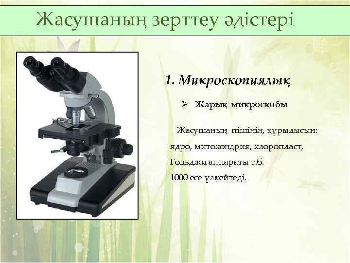 Жасушаның зерттеу әдістері 1. Микроскопиялық Ø Жарық микроскобы Жасушаның пішінін, құрылысын: ядро, митохондрия, хлоропласт,