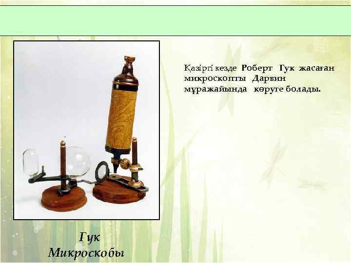 Қазіргі кезде Роберт Гук жасаған микроскопты Дарвин мұражайында көруге болады. Гук Микроскобы 