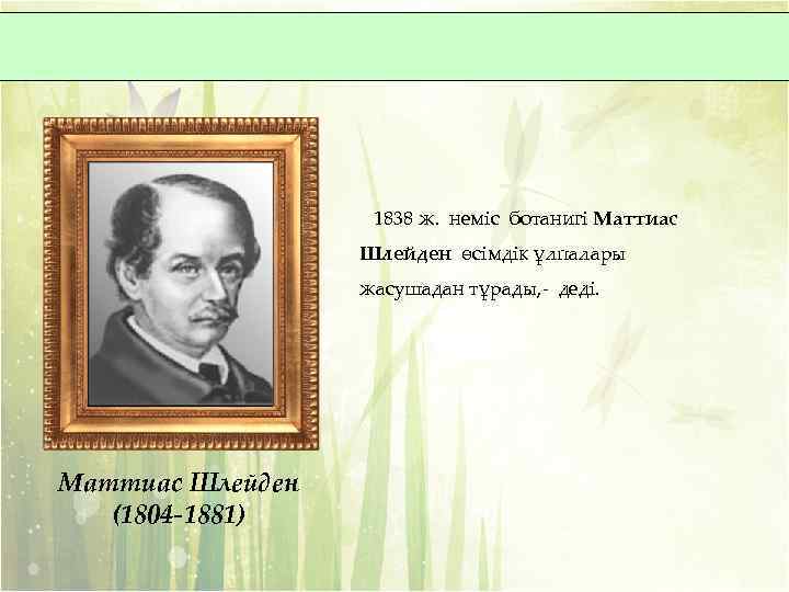 1838 ж. неміс ботанигі Маттиас Шлейден өсімдік ұлпалары жасушадан тұрады, - деді. Маттиас Шлейден