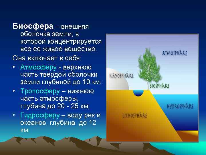Биосфера – внешняя оболочка земли, в которой концентрируется все ее живое вещество. Она включает