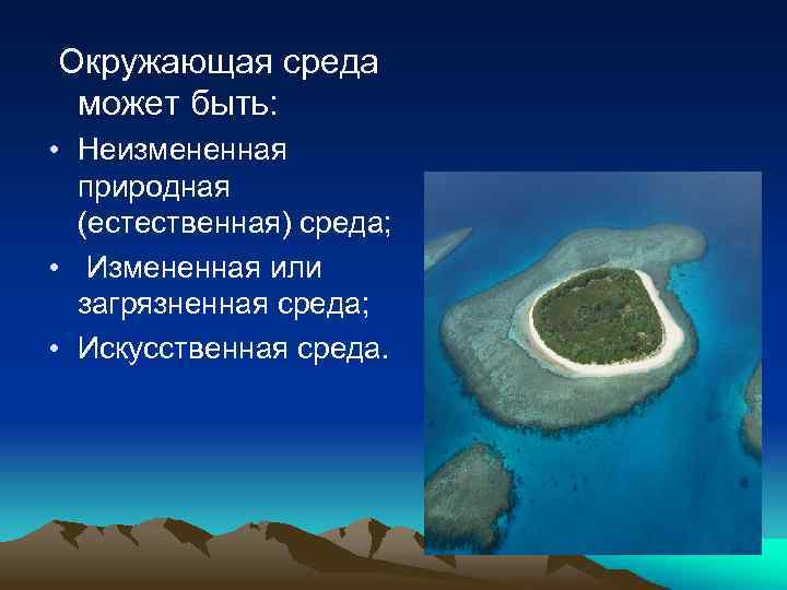 Окружающая среда может быть: • Неизмененная природная (естественная) среда; • Измененная или загрязненная среда;