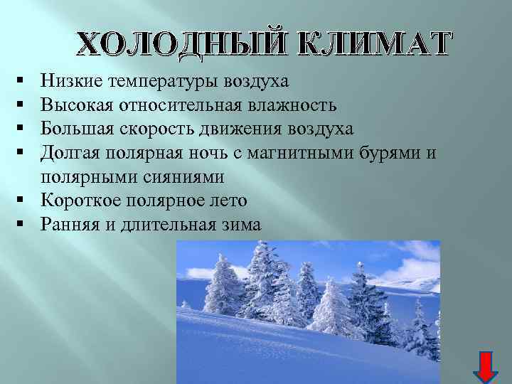 ХОЛОДНЫЙ КЛИМАТ § § Низкие температуры воздуха Высокая относительная влажность Большая скорость движения воздуха