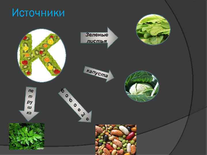 Источники Зеленые листья капу ста пе т ру ш ка б о в ы