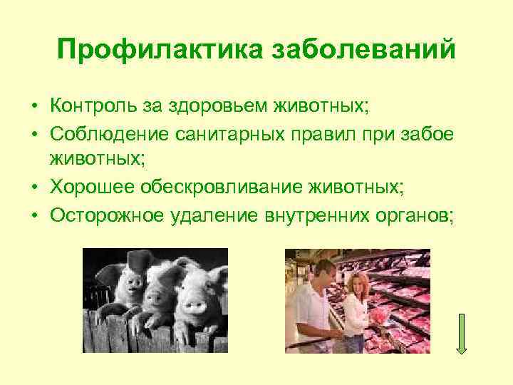 Профилактика заболеваний • Контроль за здоровьем животных; • Соблюдение санитарных правил при забое животных;