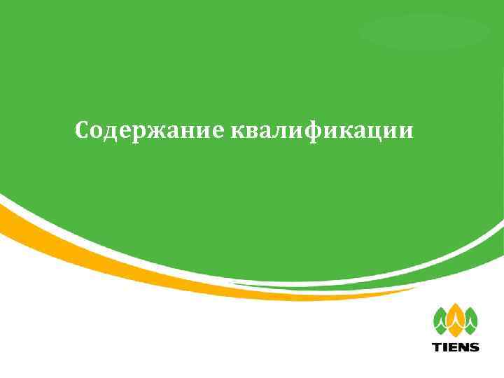 天狮全球直销事业部 Содержание квалификации 