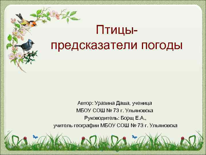 Птицыпредсказатели погоды Автор: Уразина Даша, ученица МБОУ СОШ № 73 г. Ульяновска Руководитель: Борщ