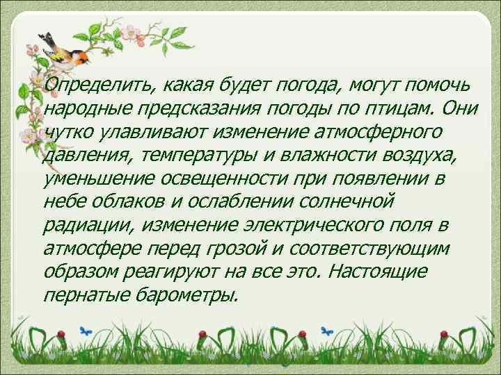 Определить, какая будет погода, могут помочь народные предсказания погоды по птицам. Они чутко улавливают