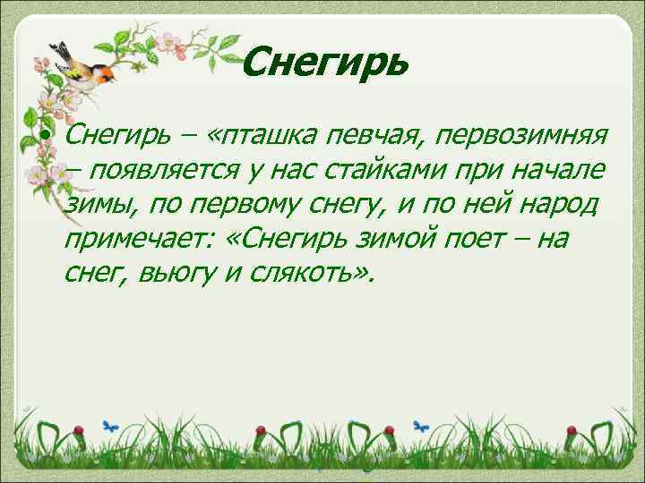 Снегирь • Снегирь – «пташка певчая, первозимняя – появляется у нас стайками при начале