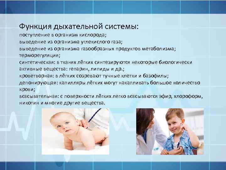 Функция дыхательной системы: поступление в организм кислорода; выведение из организма углекислого газа; выведение из