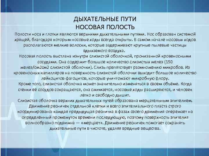 ДЫХАТЕЛЬНЫЕ ПУТИ НОСОВАЯ ПОЛОСТЬ Полости носа и глотки являются верхними дыхательными путями. Нос образован