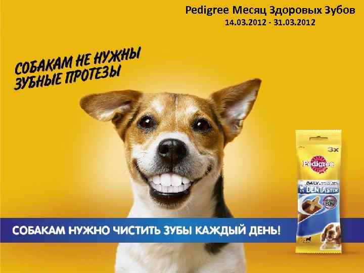 Pedigree Месяц Здоровых Зубов 14. 03. 2012 - 31. 03. 2012 