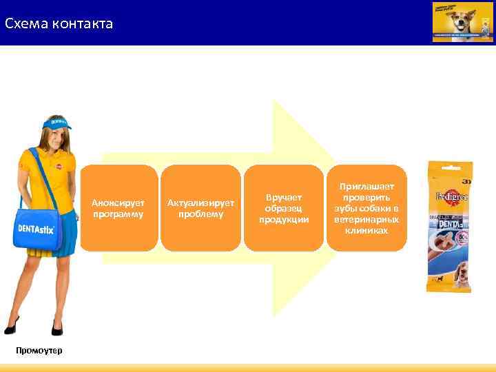 Схема контакта Анонсирует программу Промоутер Актуализирует проблему Вручает образец продукции Приглашает проверить зубы собаки