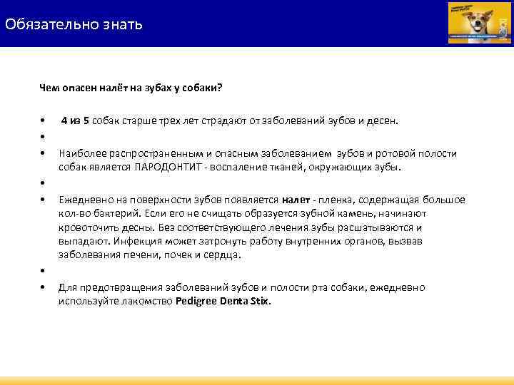 Обязательно знать Чем опасен налёт на зубах у собаки? • • 4 из 5