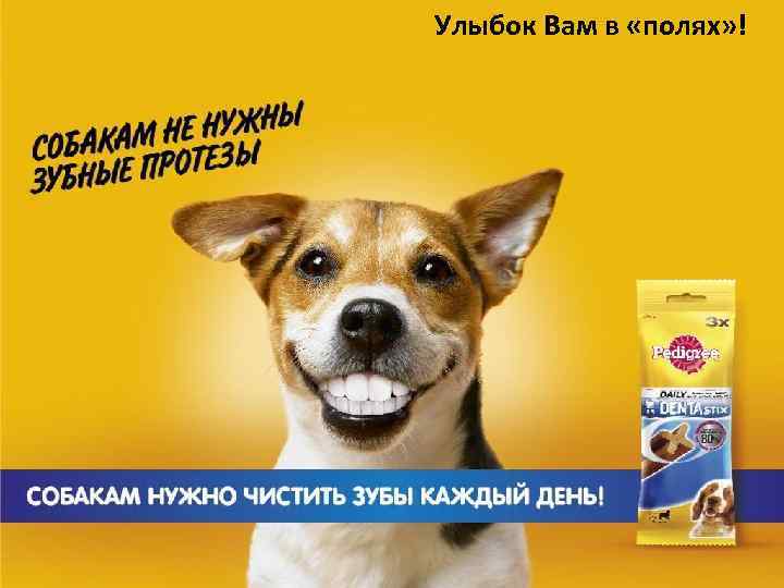 Улыбок Вам в «полях» ! 