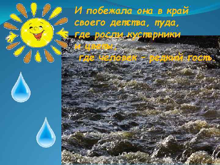 И побежала она в край своего детства, туда, где росли кустарники и цветы, где