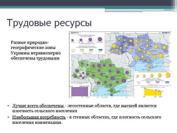 Трудовые ресурсы Разные природногеографические зоны Украины неравномерно обеспечены трудовыми • Лучше всего обеспечены -