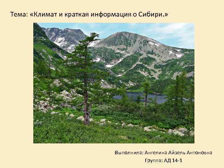 Тема: «Климат и краткая информация о Сибири. » Выполнила: Ангелина Айзель Антоновна Группа: АД