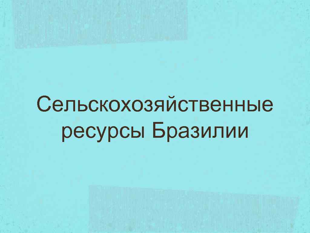 Сельскохозяйственные ресурсы Бразилии 