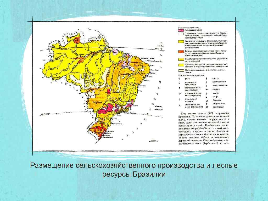 Размещение сельскохозяйственного производства и лесные ресурсы Бразилии 