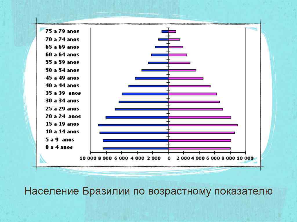 Виды занятий населения бразилии