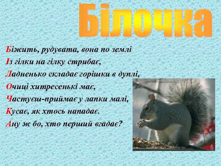 Біжить, рудувата, вона по землі Із гілки на гілку стрибає, Ладненько складає горішки в