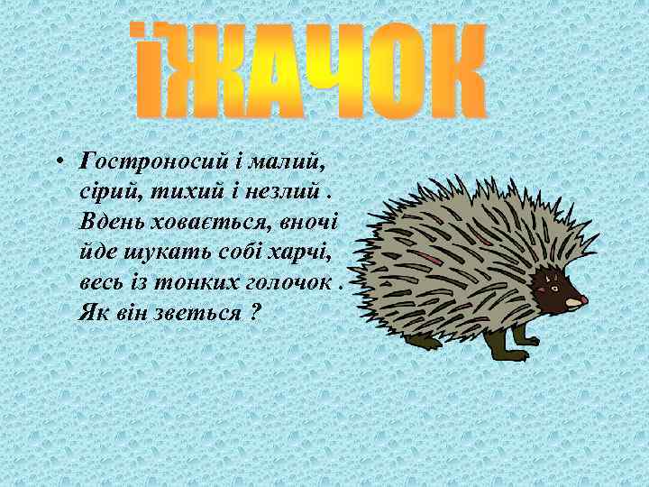  • Гостроносий і малий, сірий, тихий і незлий. Вдень ховається, вночі йде шукать