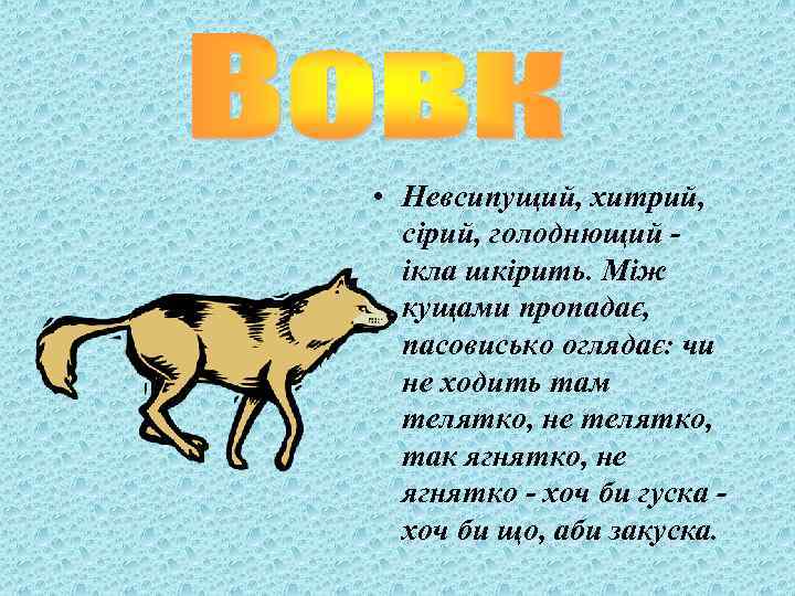  • Невсипущий, хитрий, сірий, голоднющий ікла шкірить. Між кущами пропадає, пасовисько оглядає: чи