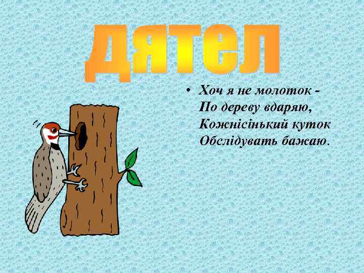  • Хоч я не молоток По дереву вдаряю, Кожнісінький куток Обслідувать бажаю. 