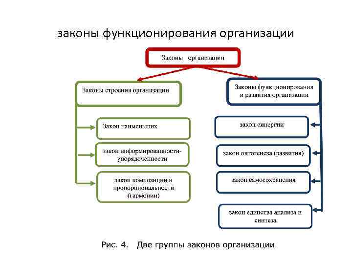 законы функционирования организации 