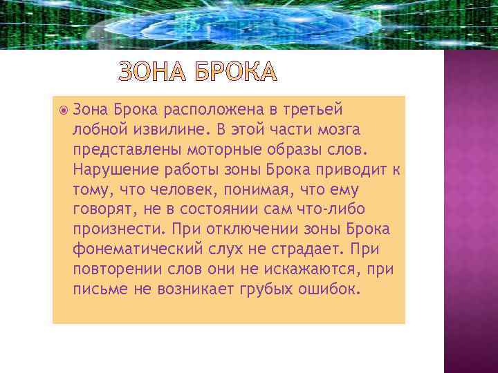  Зона Брока расположена в третьей лобной извилине. В этой части мозга представлены моторные